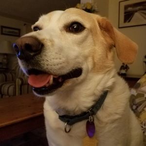 Meet your Posher, Todd